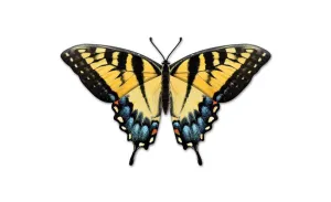9.85"L Metal Embossed Butterfly Sign: Black, Yellow, Blue - MD136290
