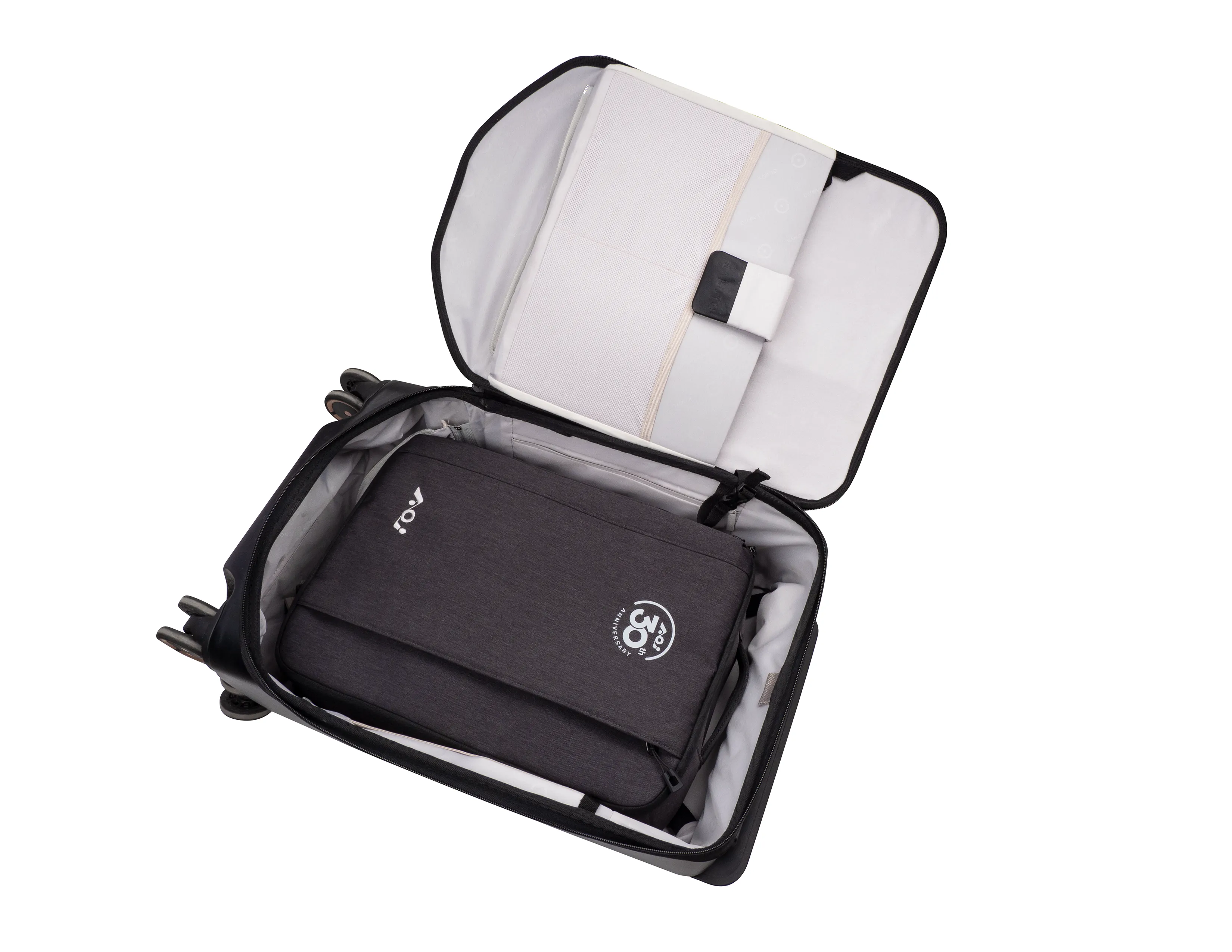 AOI Organizer Bag