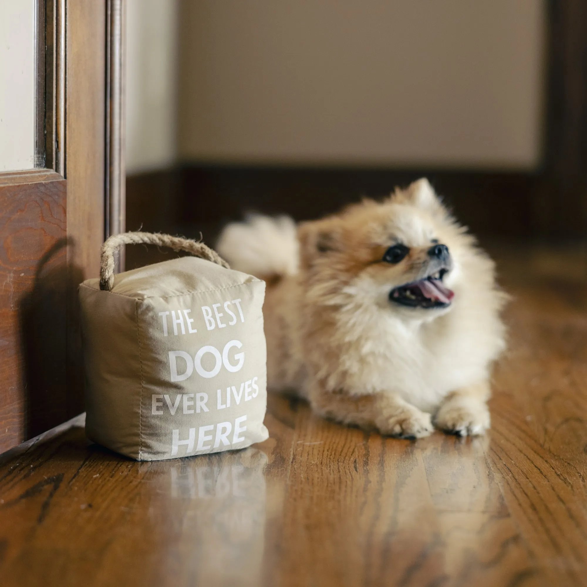 Best Dog 5" x 6" Door Stopper