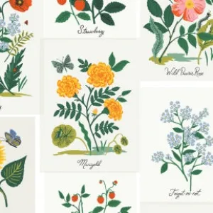Botanical Prints - Pink Multi Canvas -- Curio by Rifle Paper Co. for Cotton   Steel Fabrics