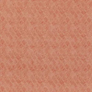 Boundary-Spice