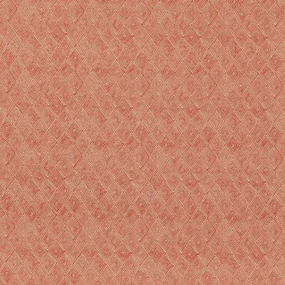 Boundary-Spice