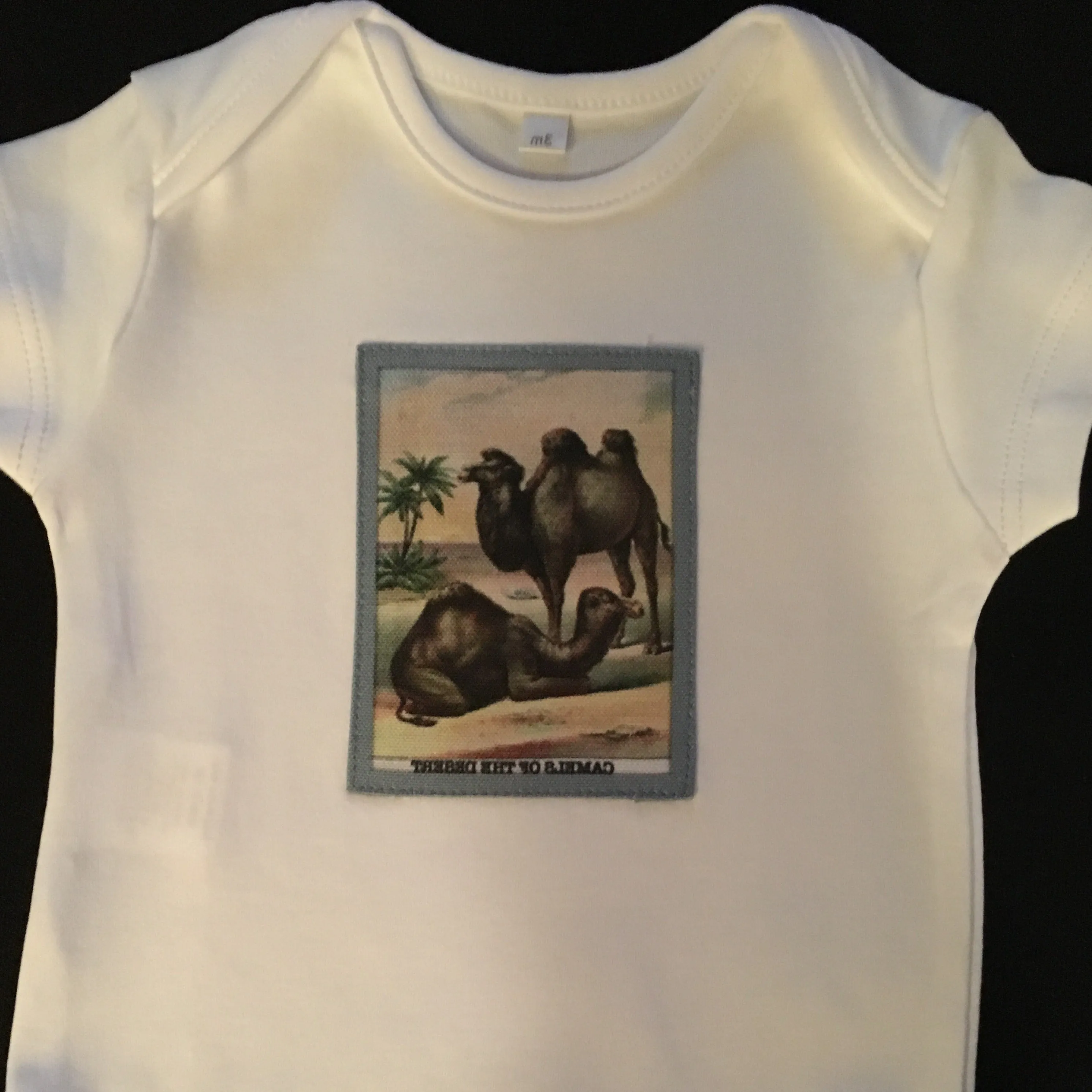 Camel