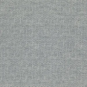 Capo-Indigo