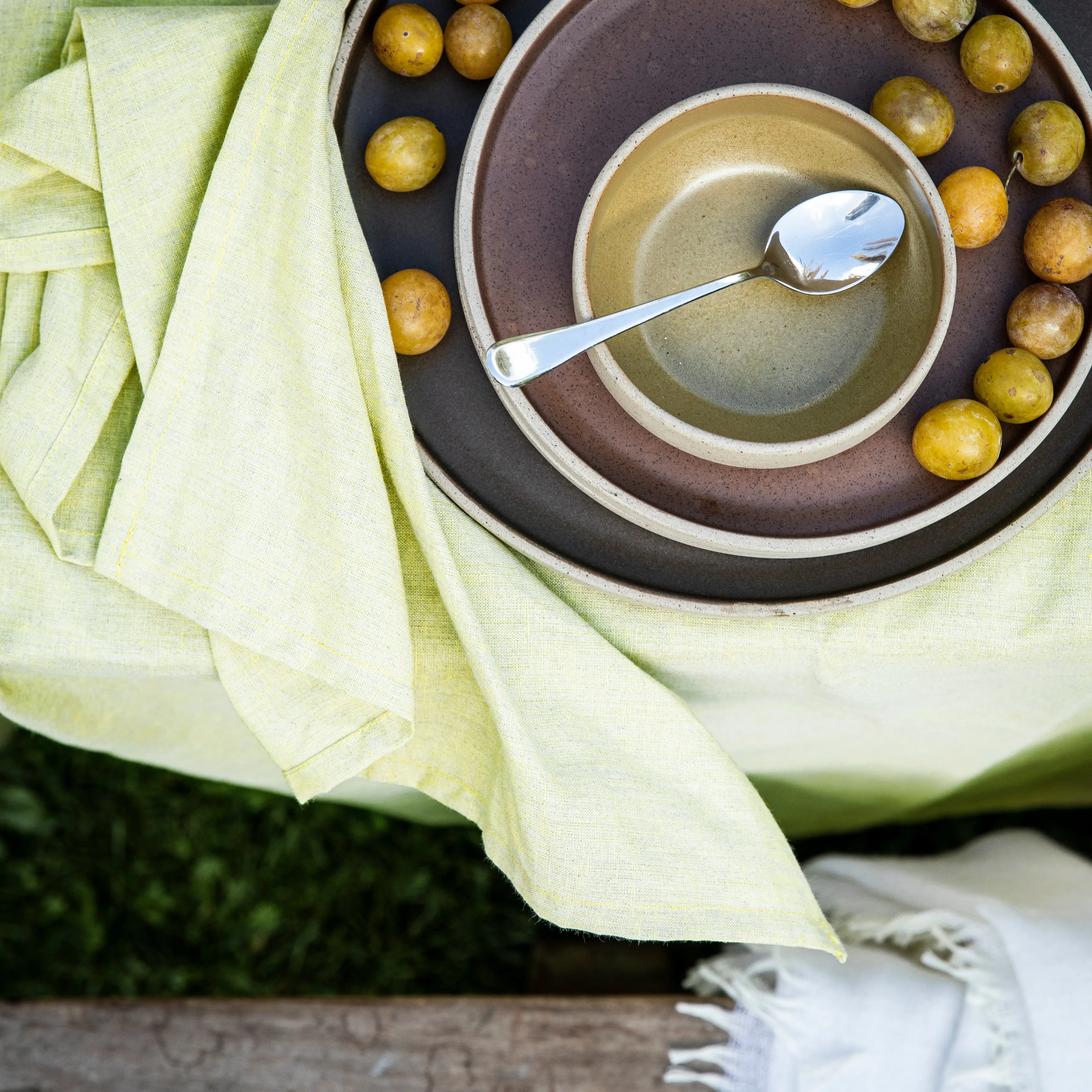 chambray napkin