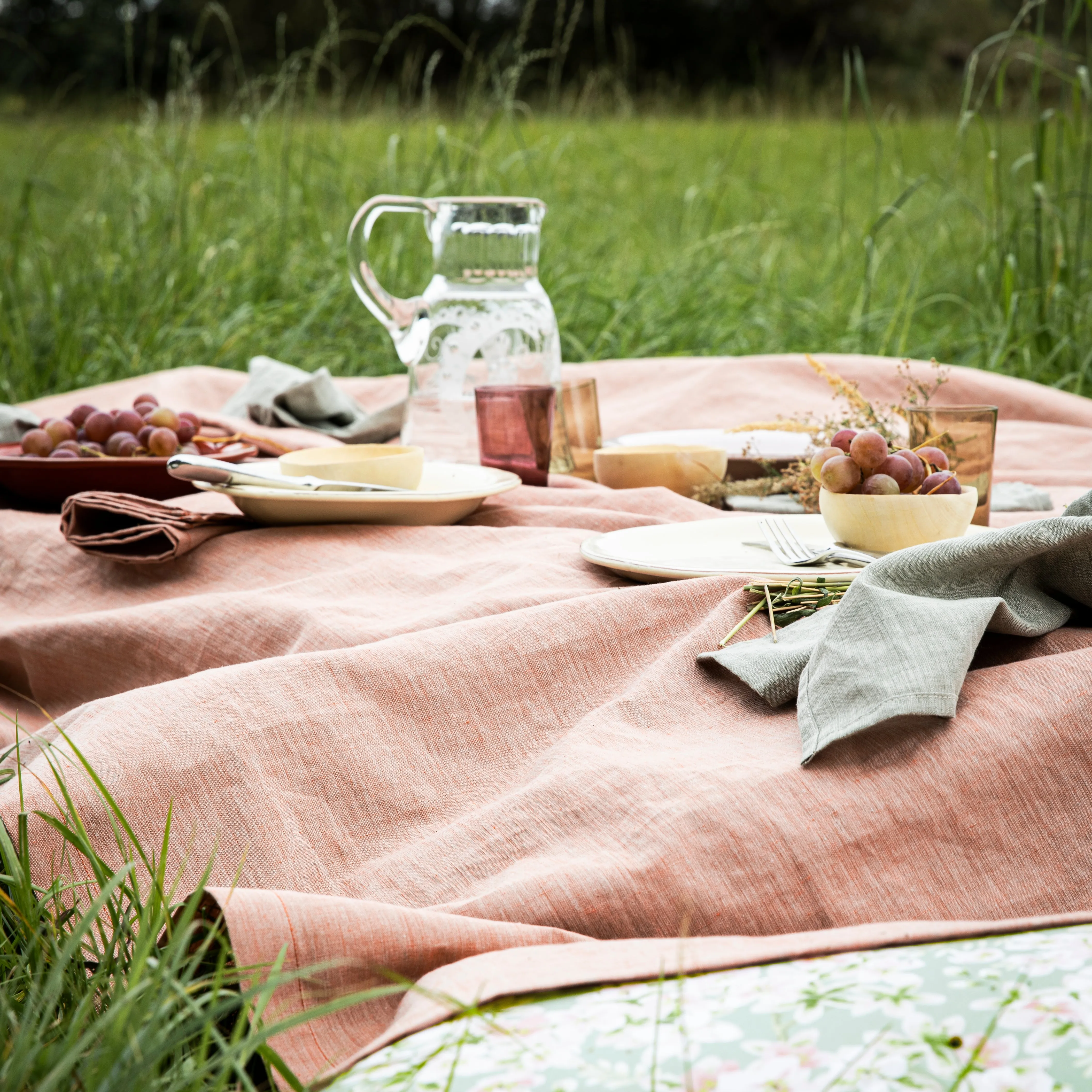 chambray napkin