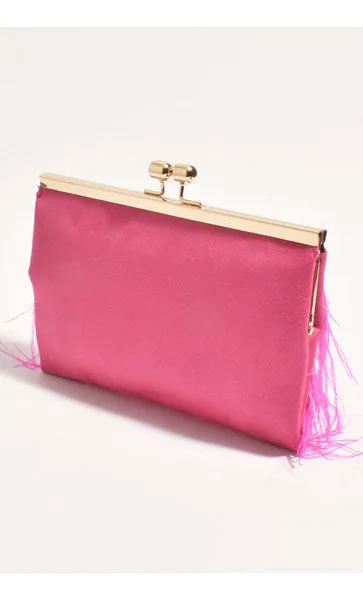 Cher feather Clutch