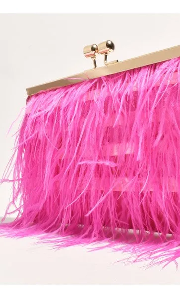 Cher feather Clutch