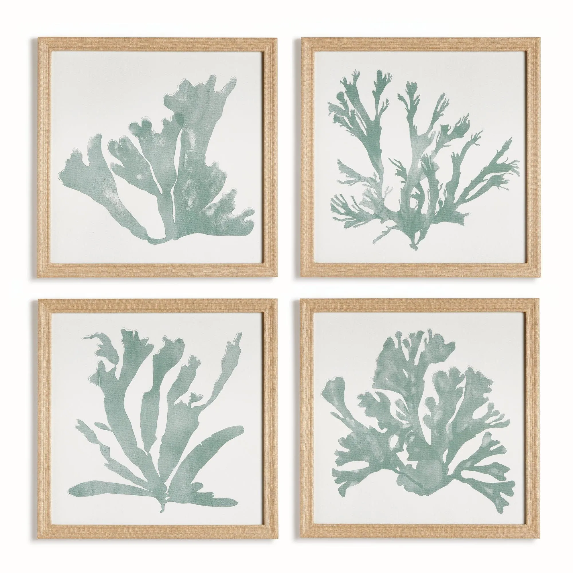 Coral Silhouettes In Soft Green, Set Of 4
