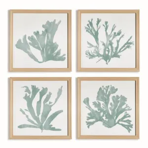 Coral Silhouettes In Soft Green, Set Of 4