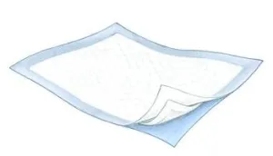 (CS) Durasorb(c) Plus Underpad