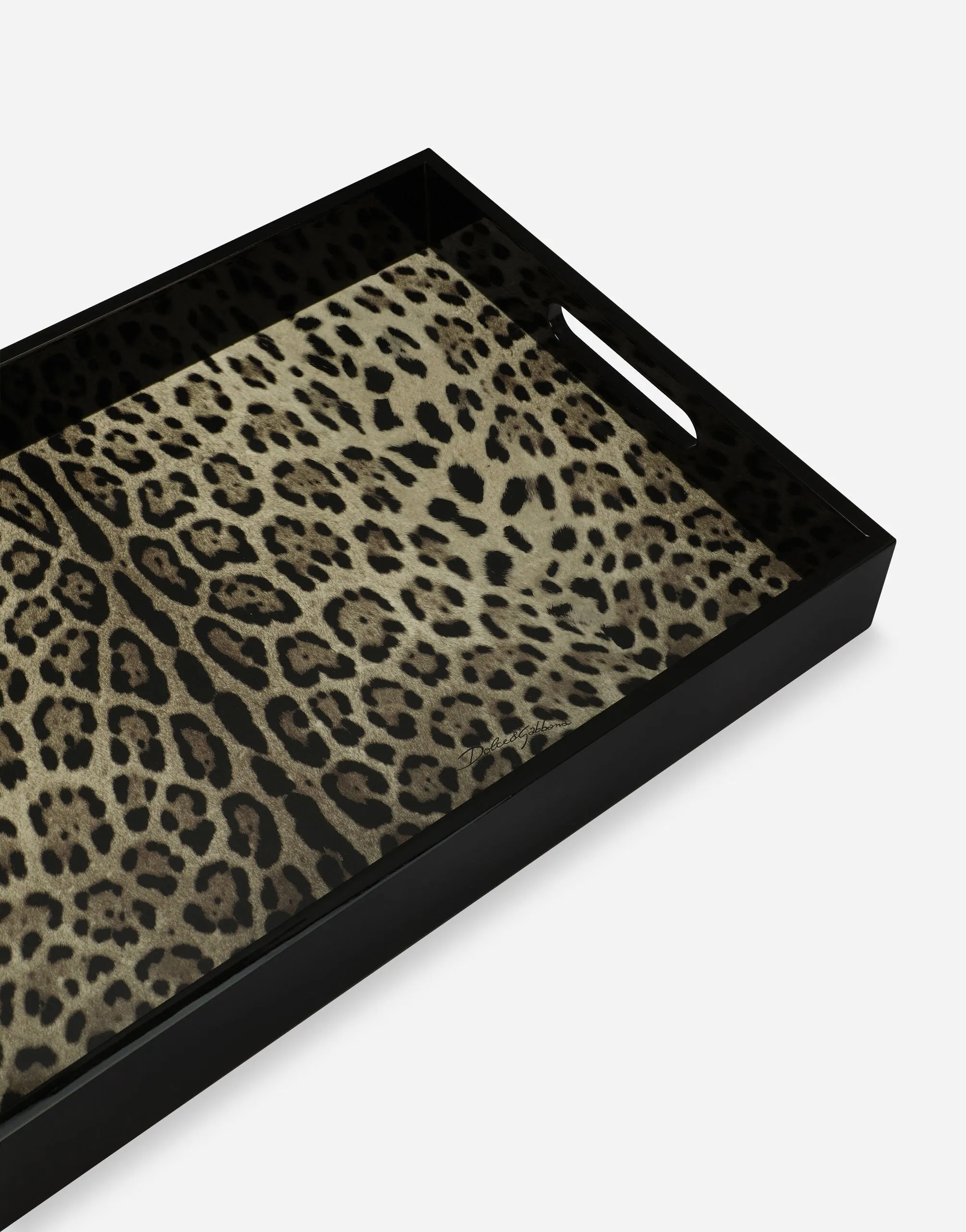 Dolce & Gabbana Casa Rectangular Tray in Leopard