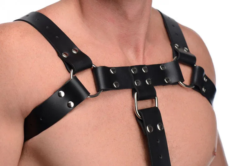 English Bull Dog Harness With  Strap
