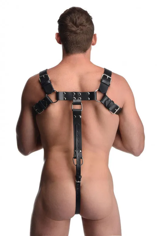 English Bull Dog Harness With  Strap