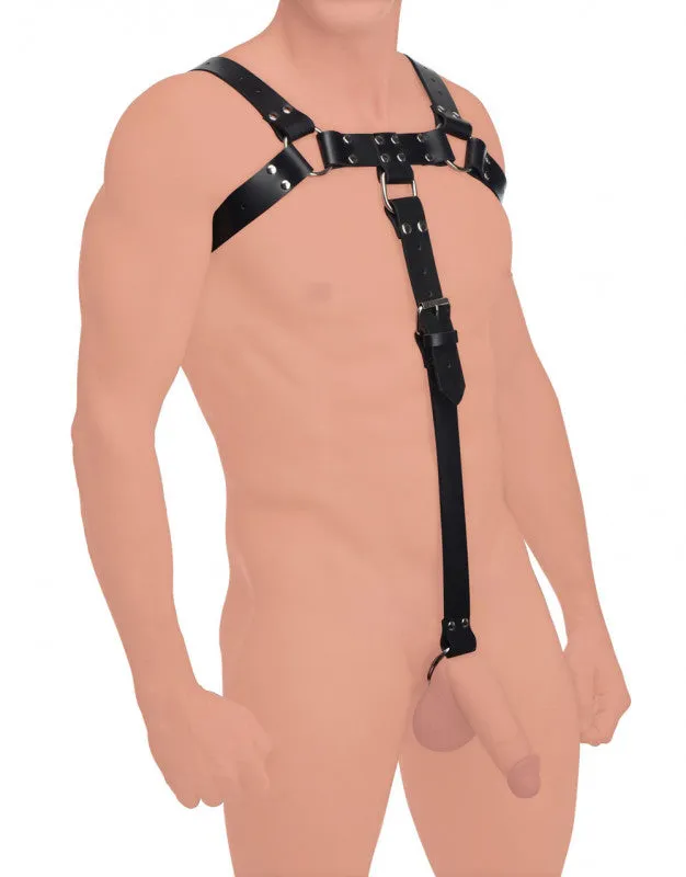 English Bull Dog Harness With  Strap