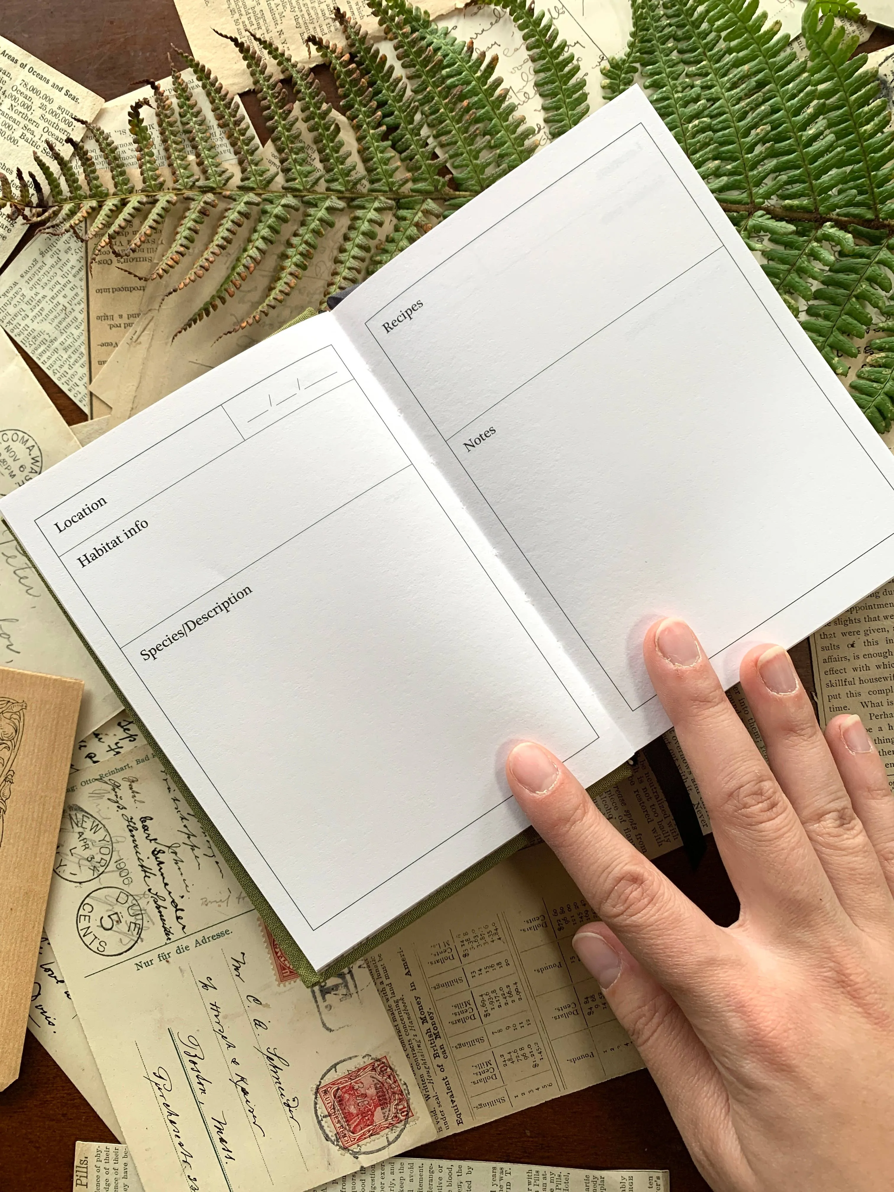Foraging Field Journal