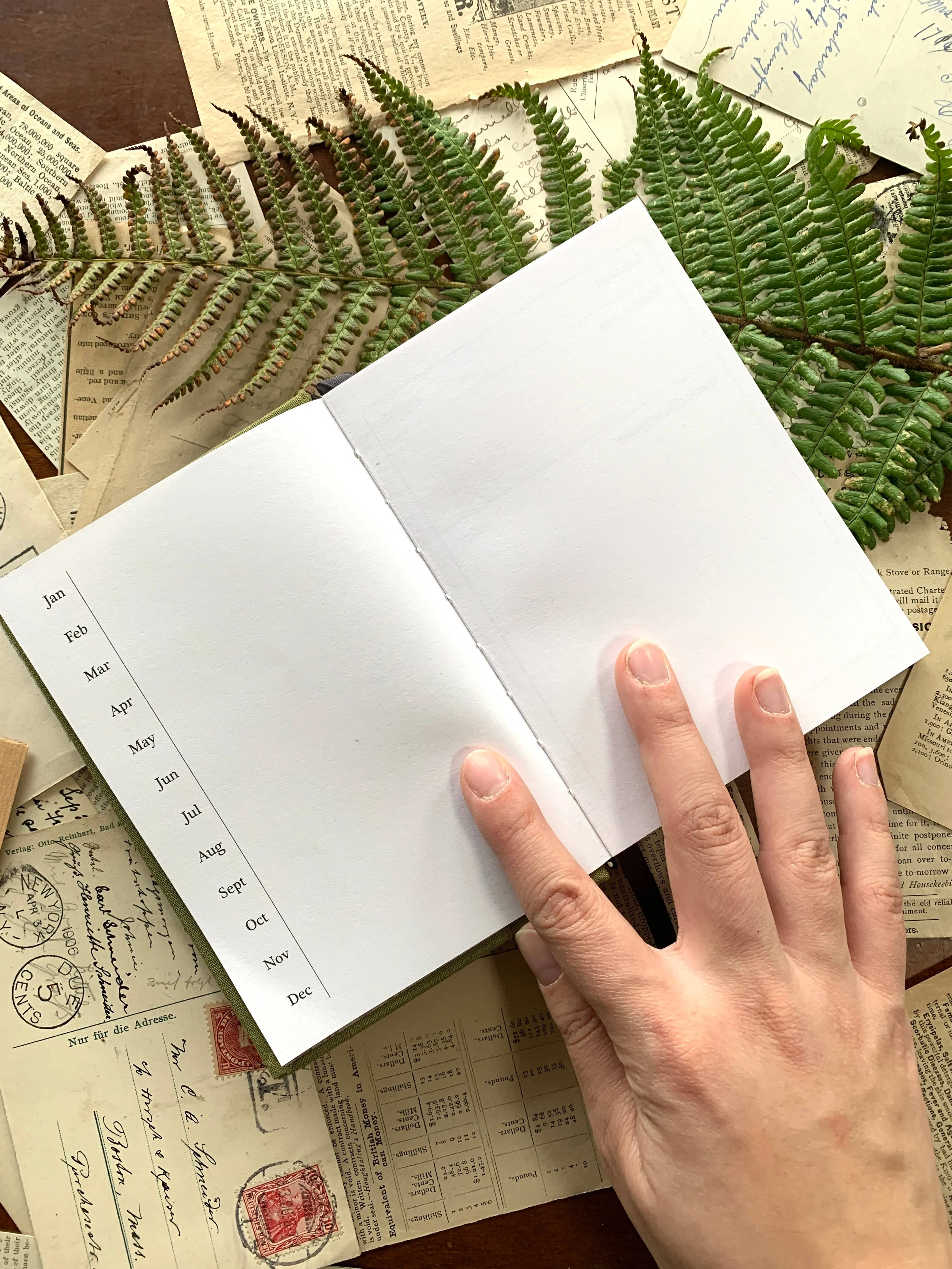 Foraging Field Journal