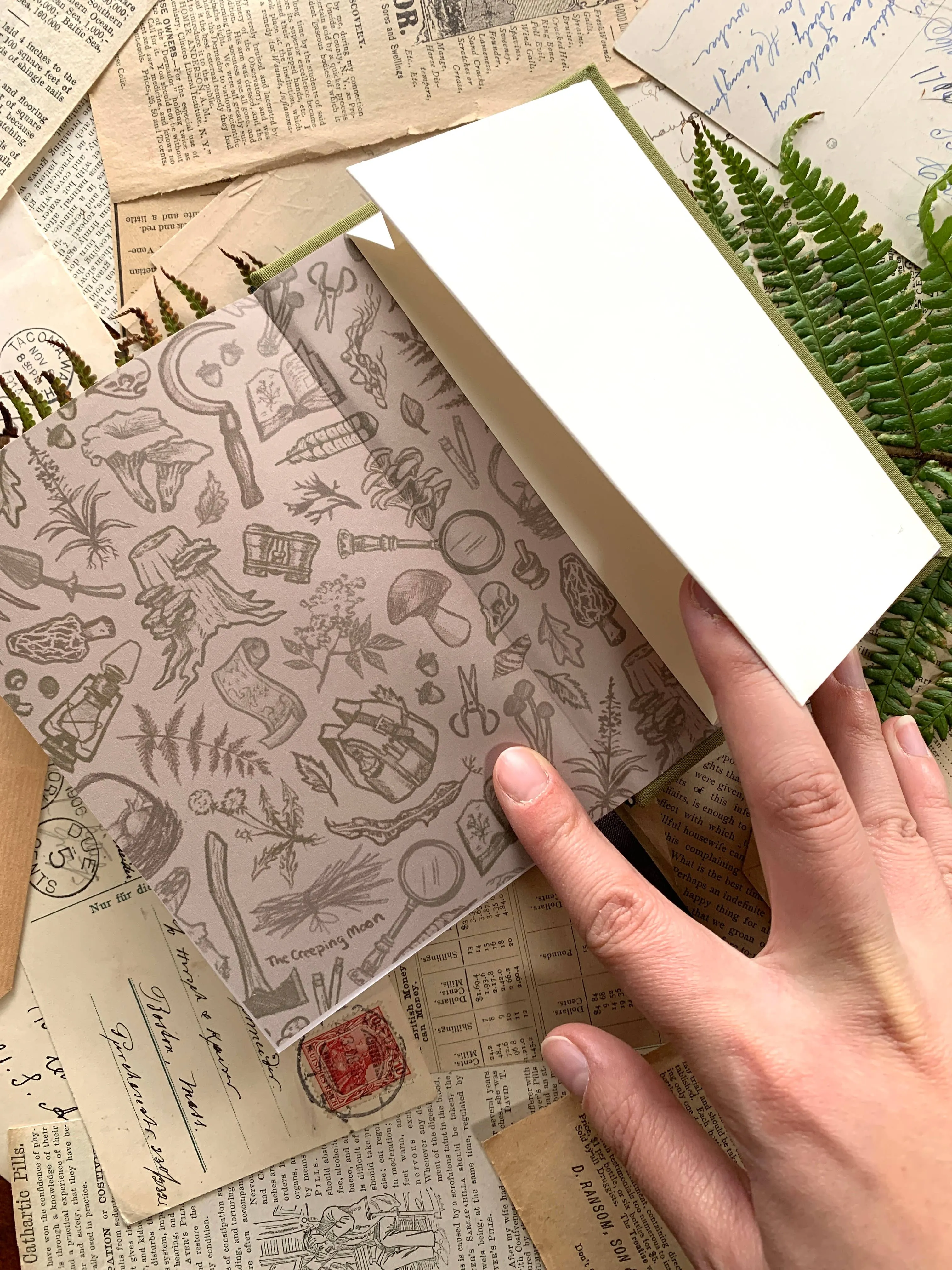 Foraging Field Journal