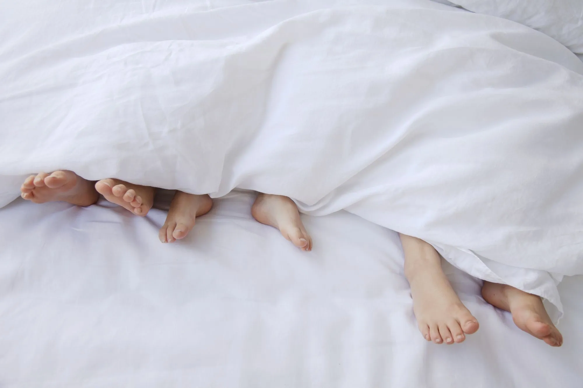 heritage duvet cover