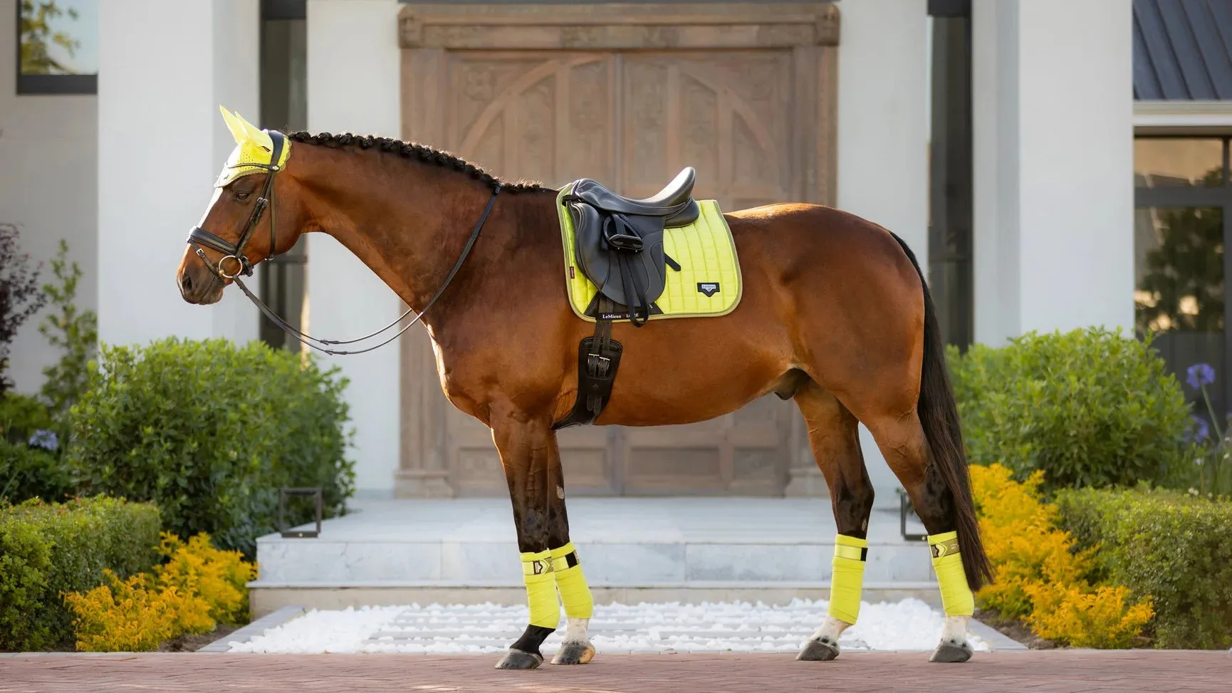 LeMieux Loire Classic Satin Dressage Kiwi