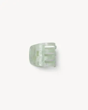 Mini Claw Clip