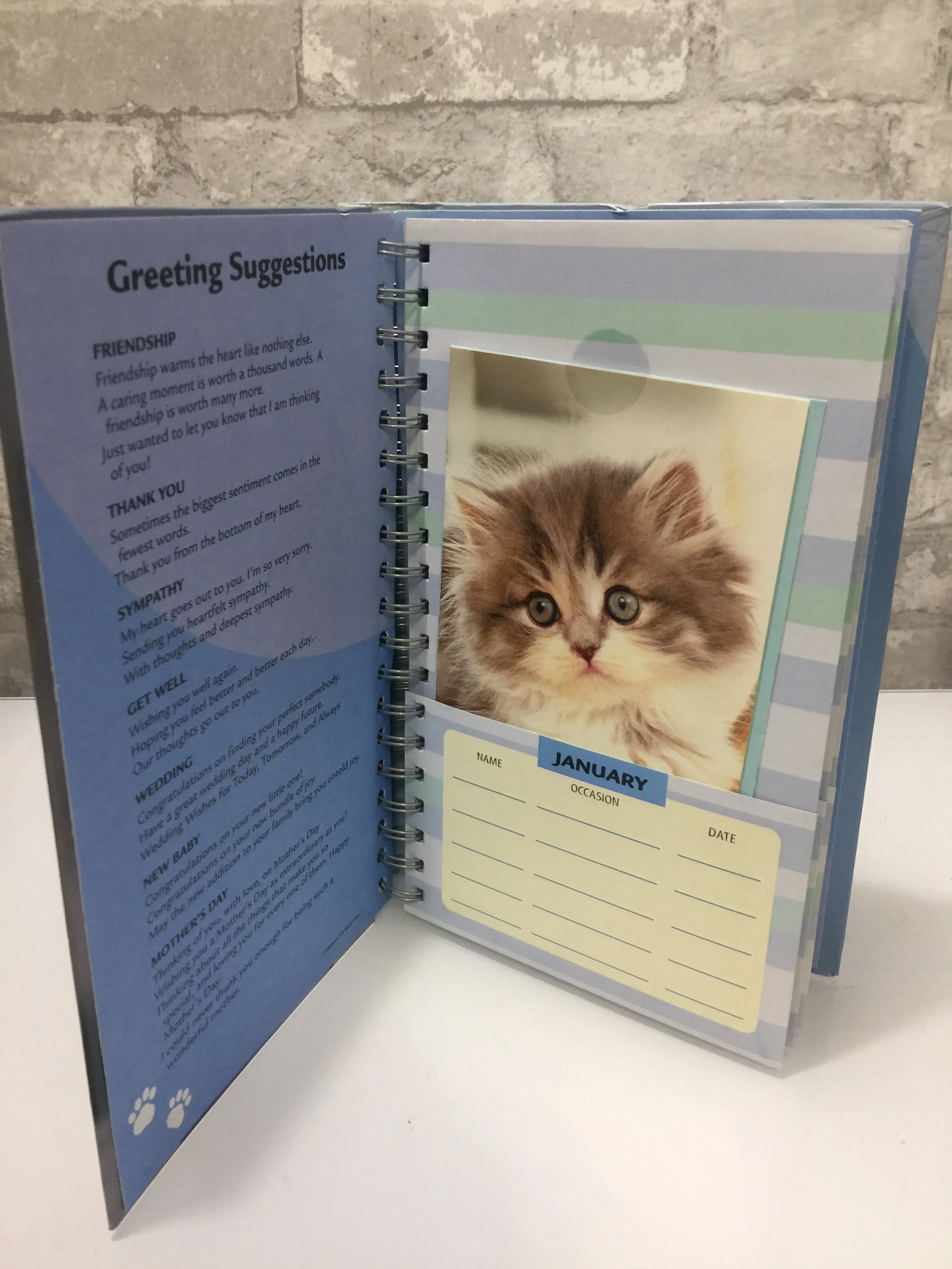 New Greeting Card Organizer, includes 12 greeting cards, 1 for each month of the year with kitten print!