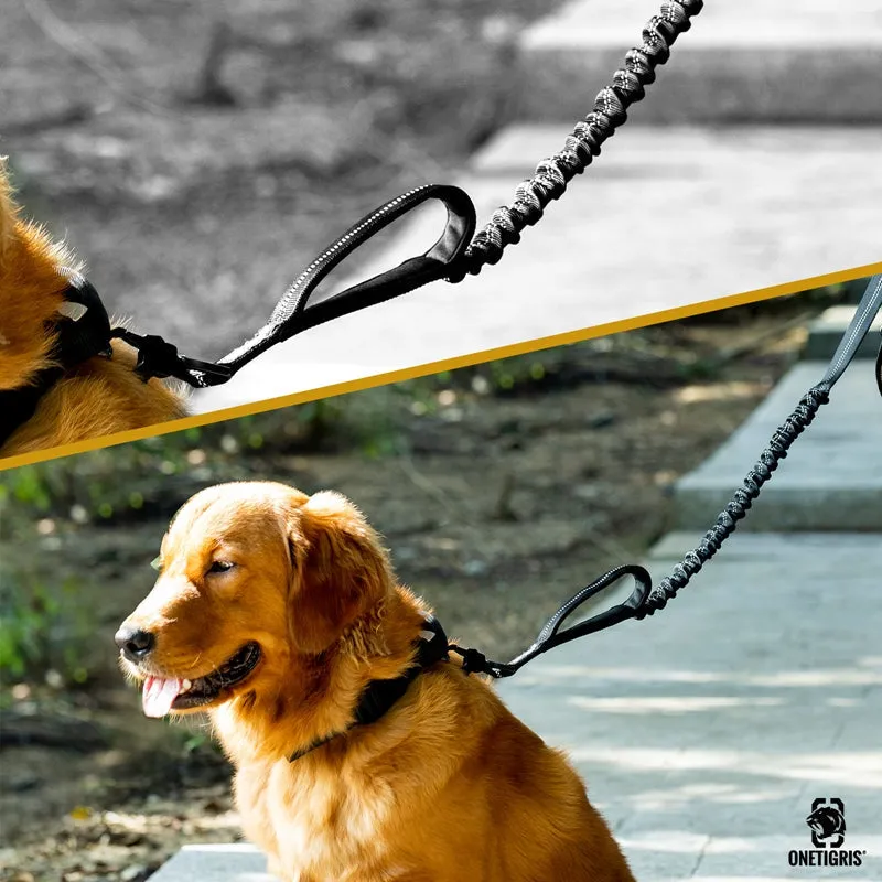 ONETIGRIS Dog Leash 22 - Black