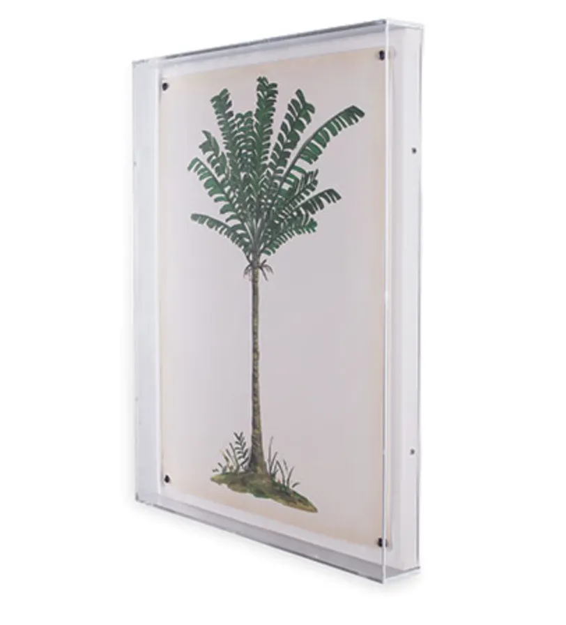 Palm Tree Print IV