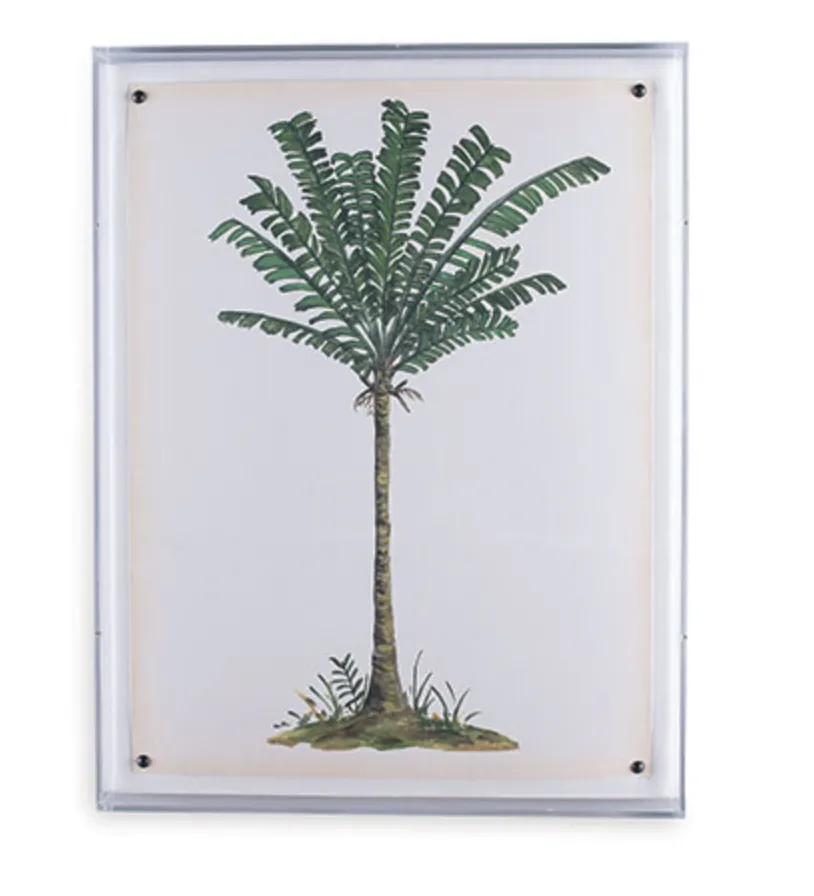 Palm Tree Print IV