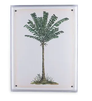 Palm Tree Print IV