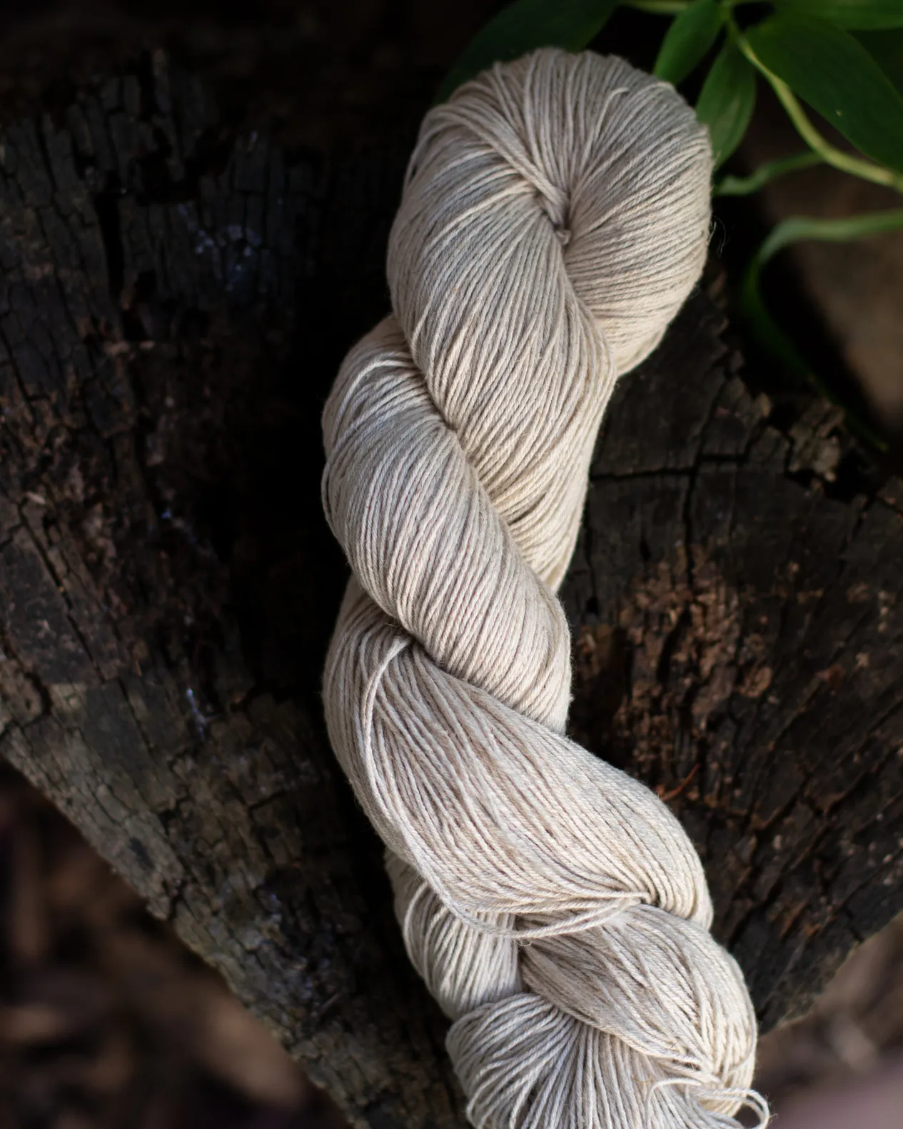 Pianta cotton/linen | PREORDER
