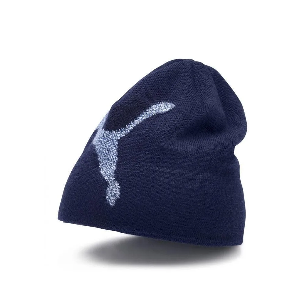 Puma Unisex Ess Logo Winter Beanie