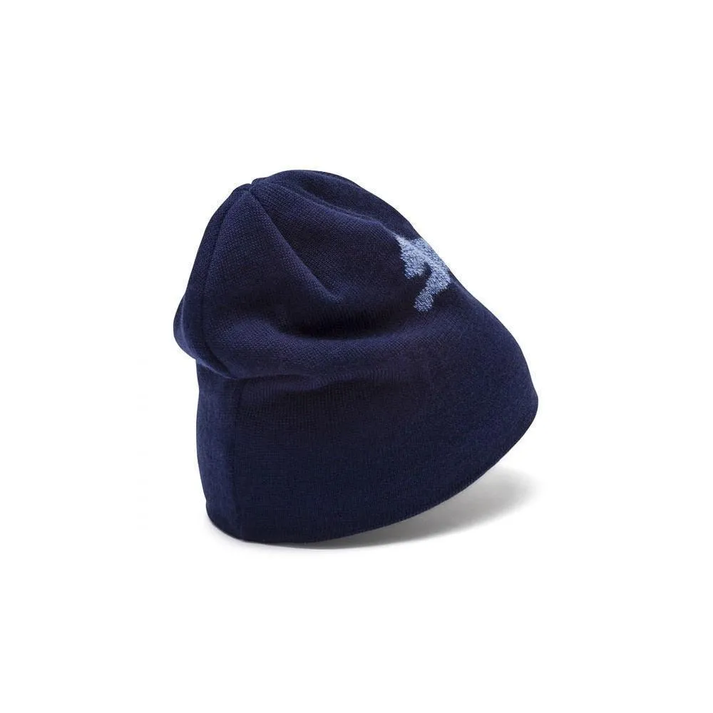 Puma Unisex Ess Logo Winter Beanie