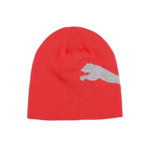 Puma Unisex Ess Logo Winter Beanie