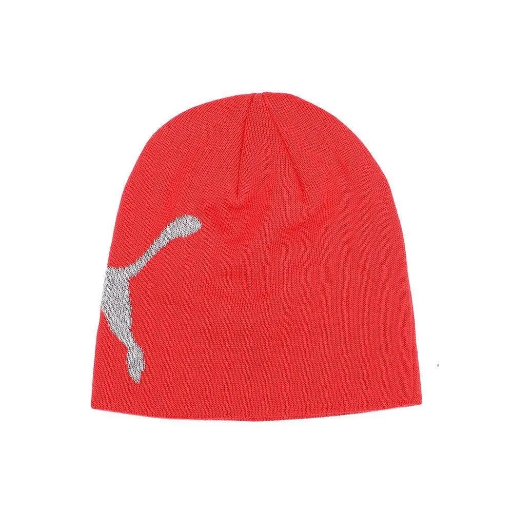Puma Unisex Ess Logo Winter Beanie