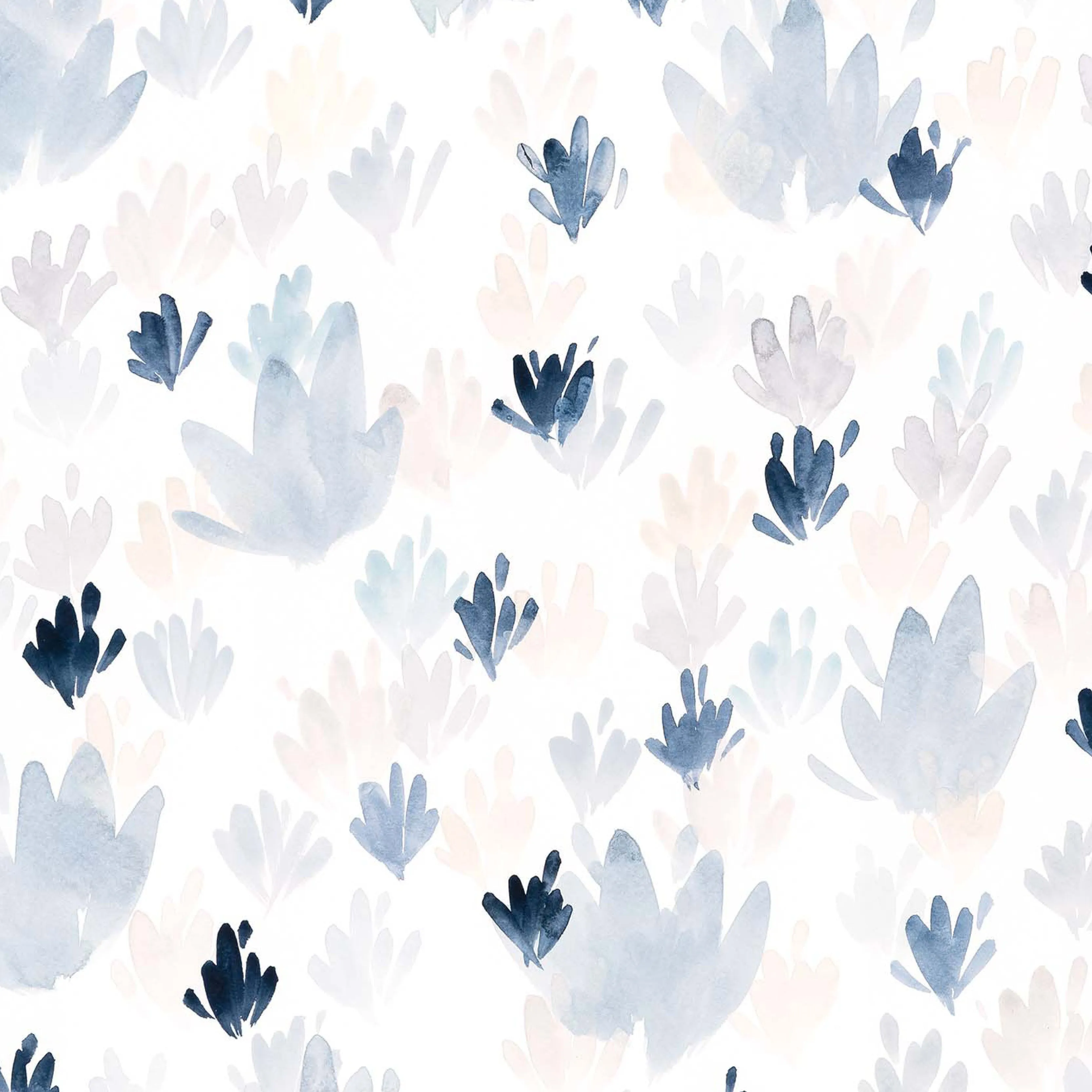 Rachel-Sky Oyster 0021