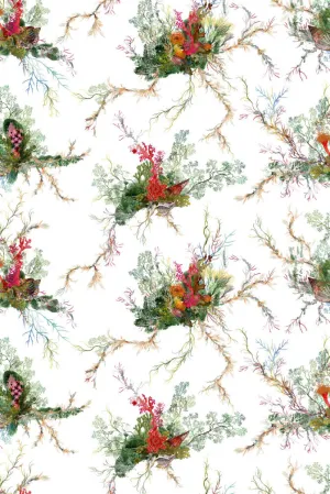 seaweed and shell fabric