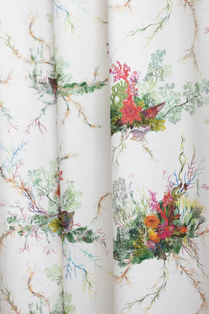 seaweed and shell fabric