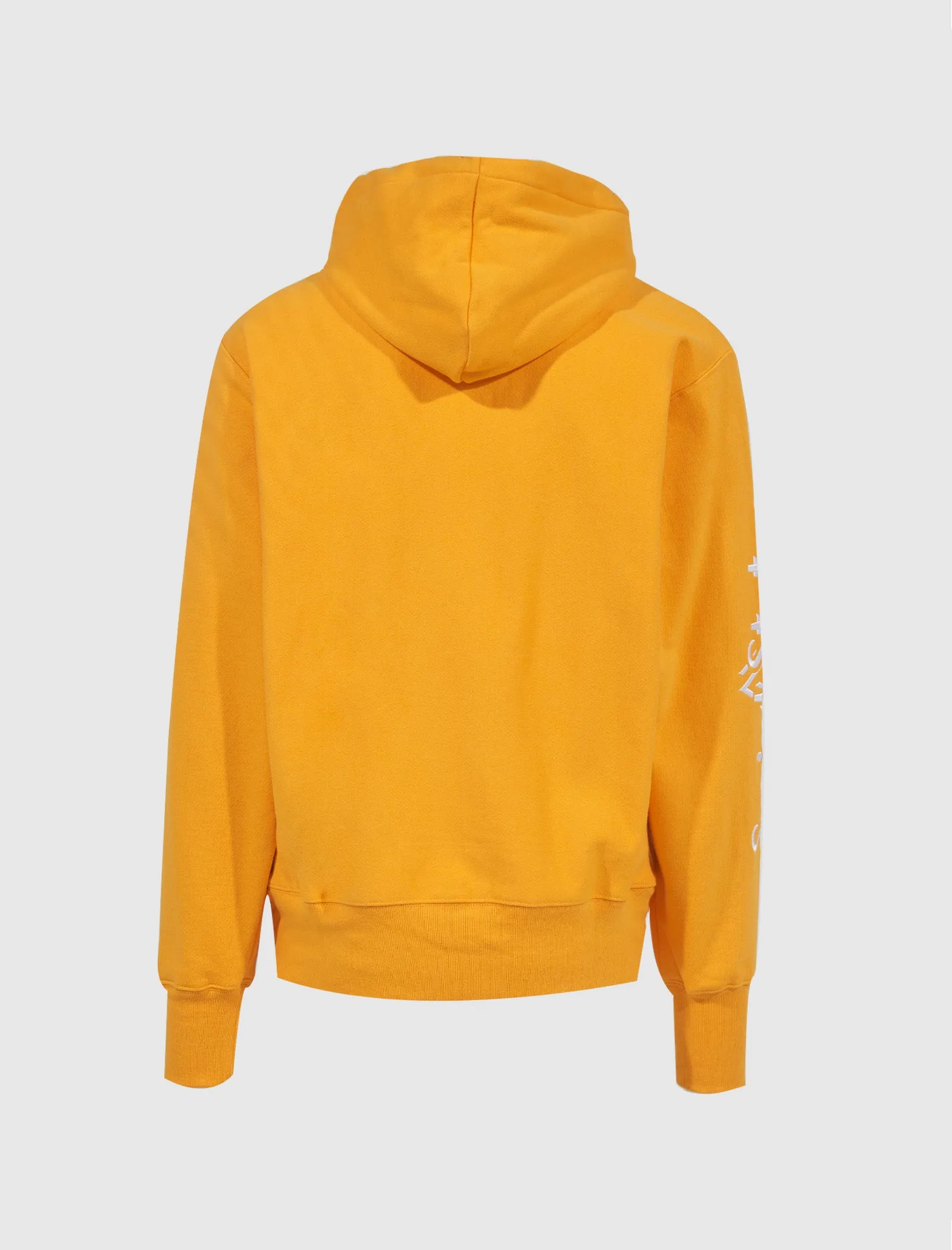 SOCIAL STATUS REVERSE WEAVE PULLOVER HOODIE