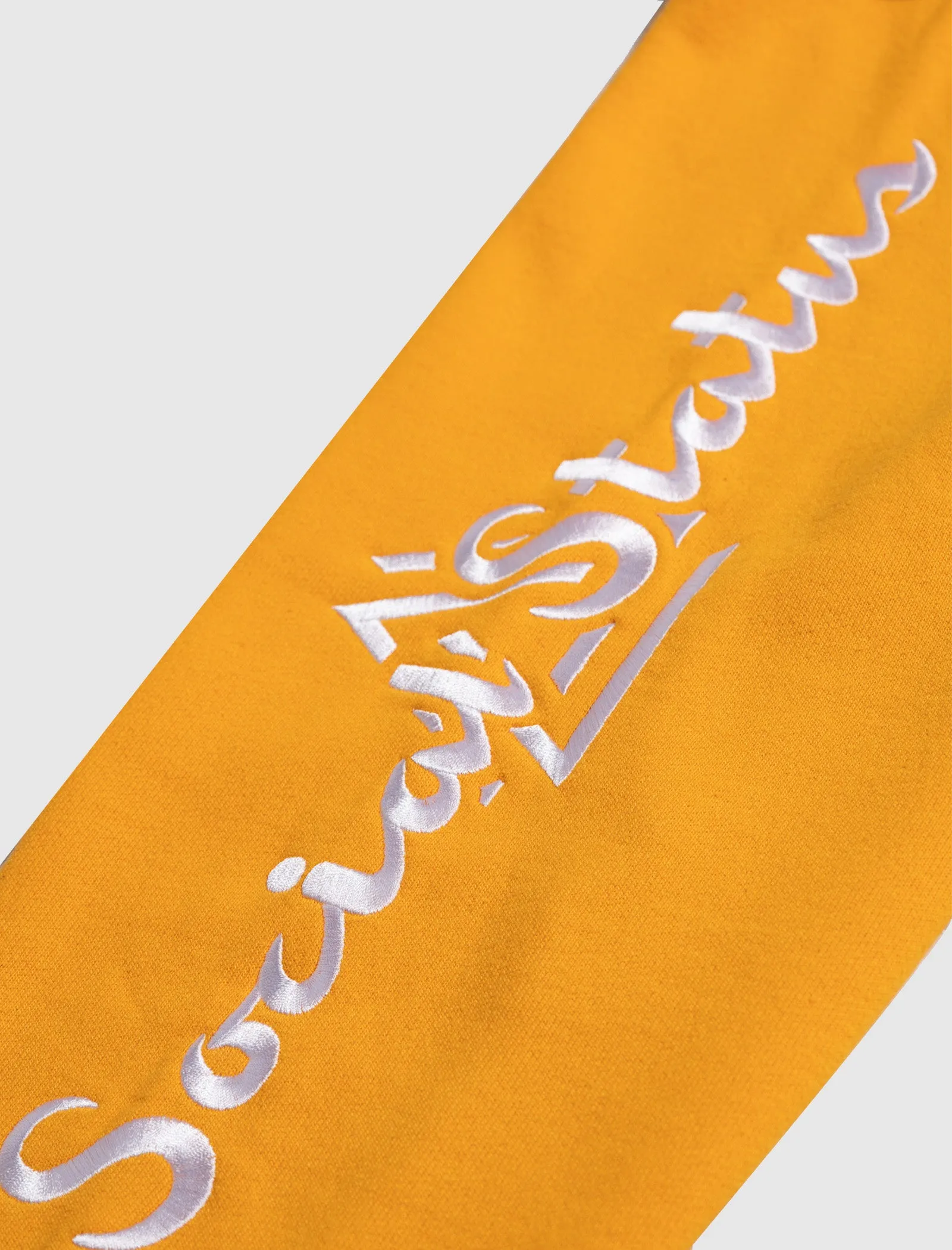 SOCIAL STATUS REVERSE WEAVE PULLOVER HOODIE