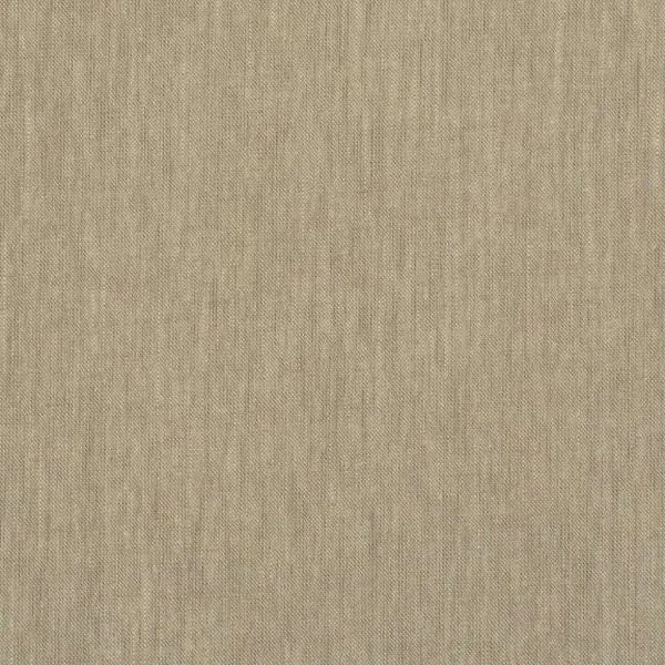 Solid Neutrals