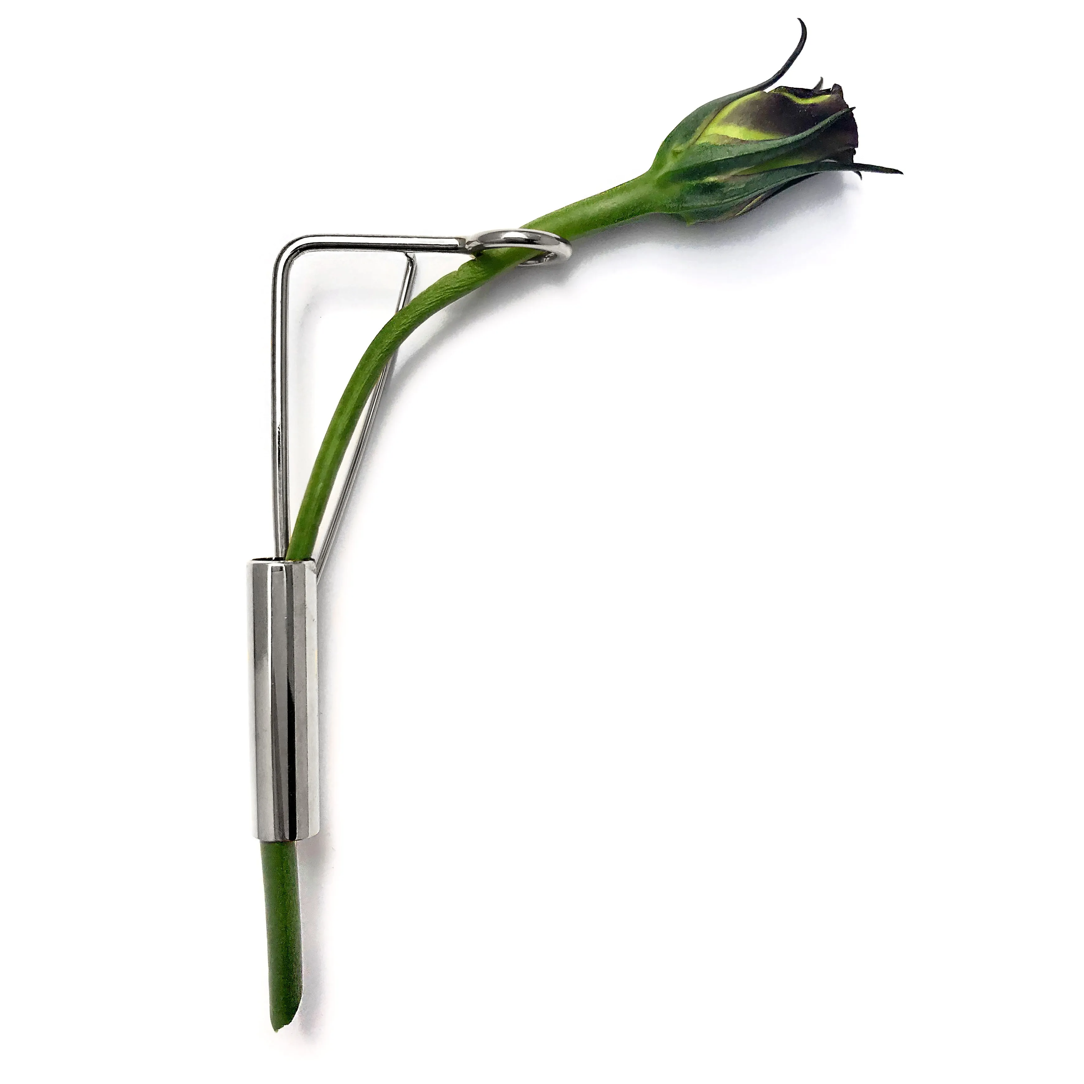 Splint Botanical Brooch in Rhodium