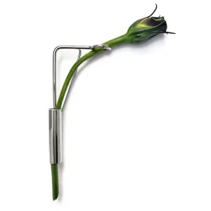 Splint Botanical Brooch in Rhodium