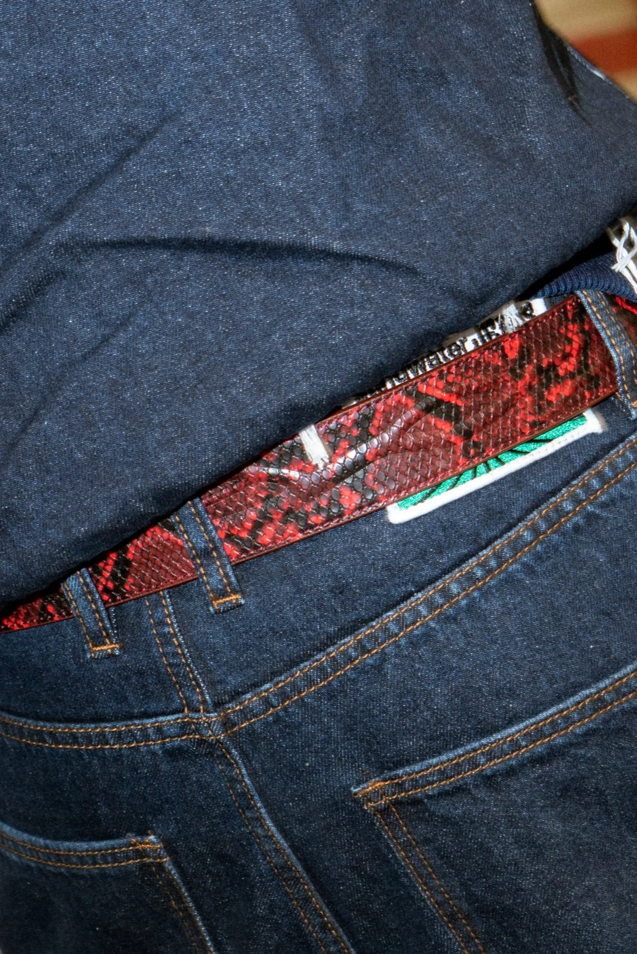 Stingwater Vein Belt Red Snake