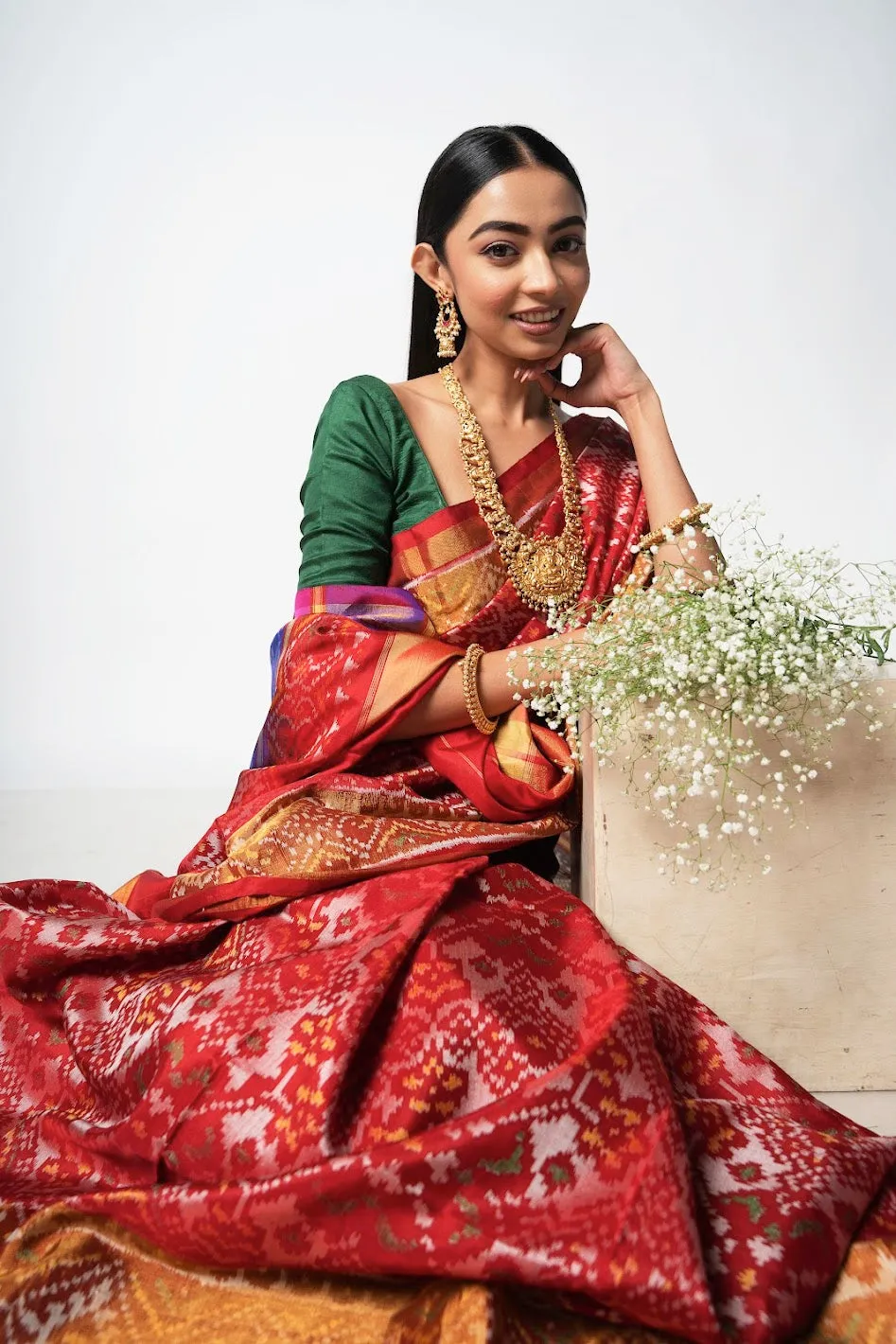 The Rainbow Pochampalli Silk Saree