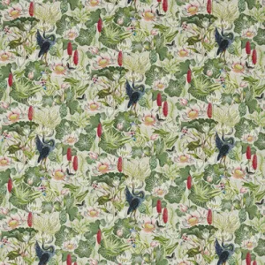 Waterlily-Dove