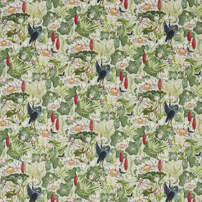 Waterlily-Dove