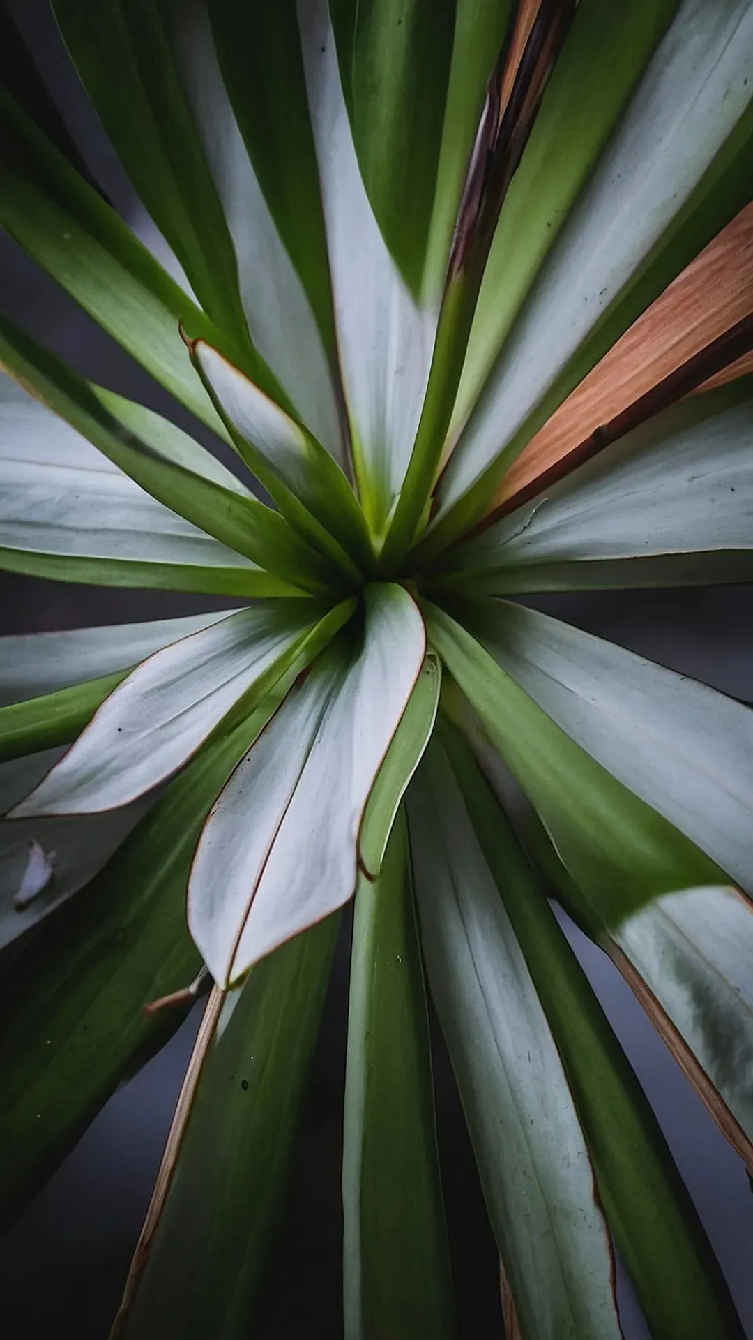 Your Digital Zen: 15 Nature Wallpapers for Inner Calm
