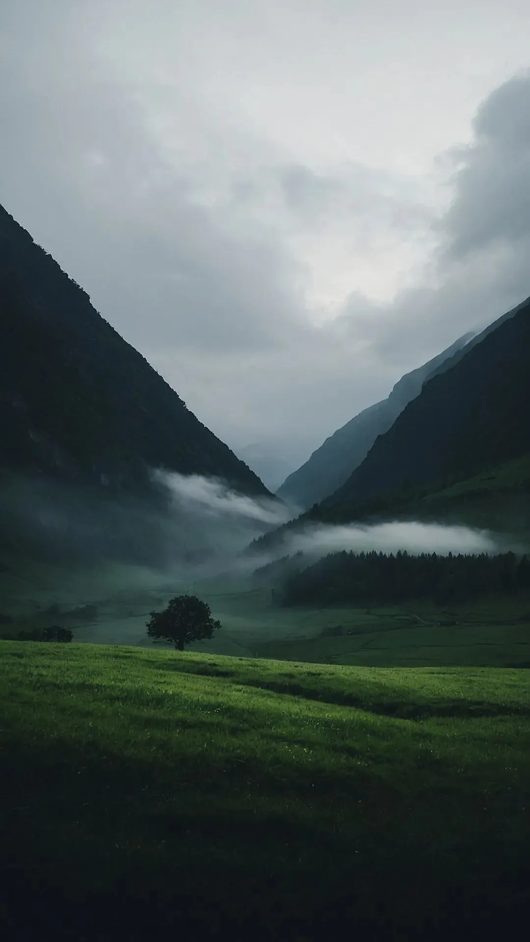 Your Digital Zen: 15 Nature Wallpapers for Inner Calm