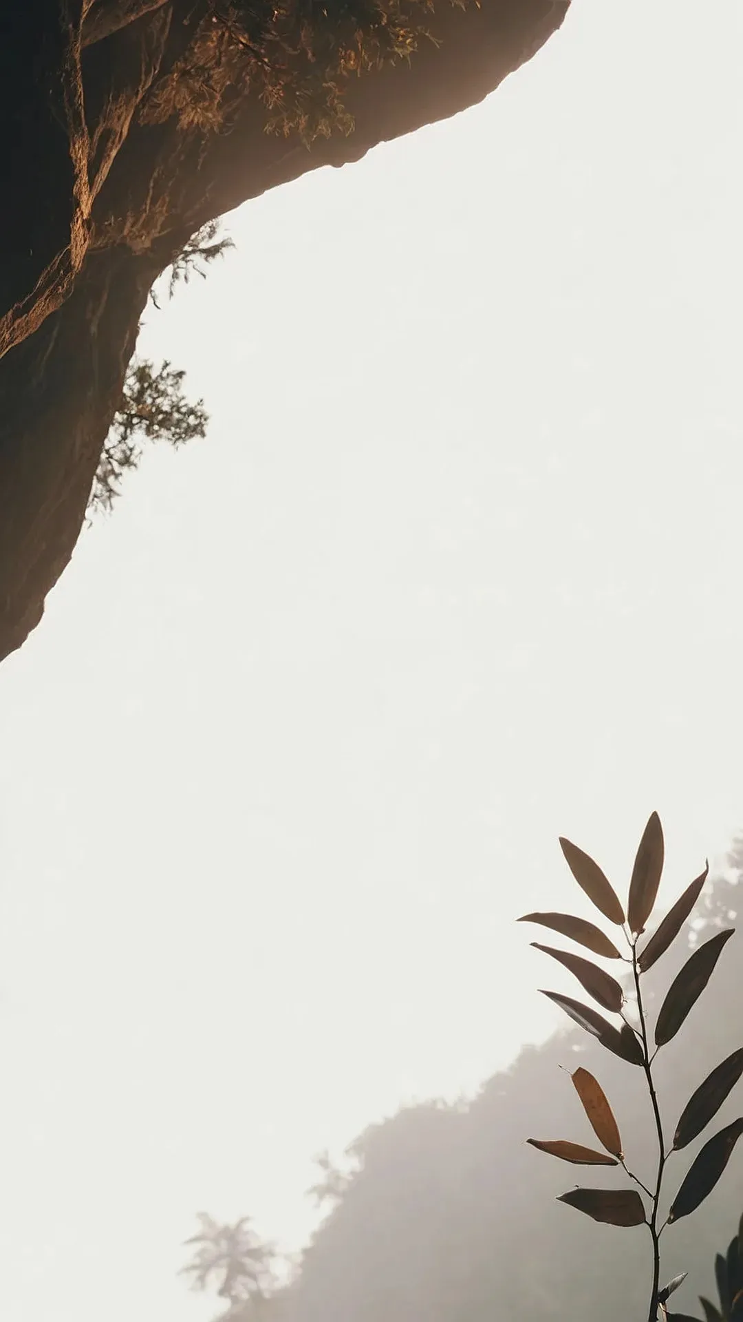 Your Digital Zen: 15 Nature Wallpapers for Inner Calm